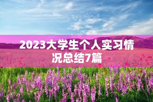 2023大学生个人实习情况总结7篇