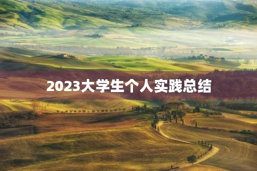 2023大学生个人实践总结