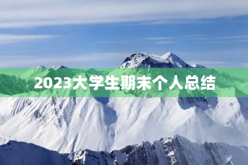 2023大学生期末个人总结