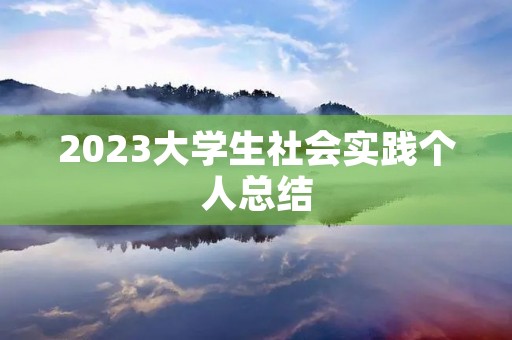 2023大学生社会实践个人总结