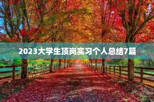 2023大学生顶岗实习个人总结7篇