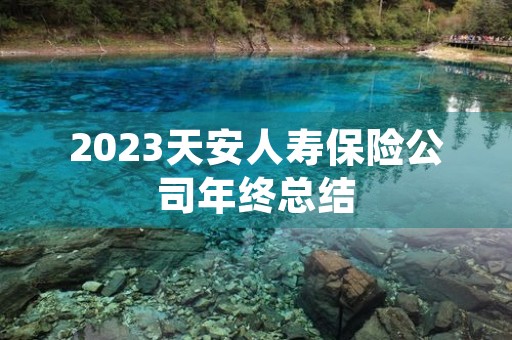 2023天安人寿保险公司年终总结