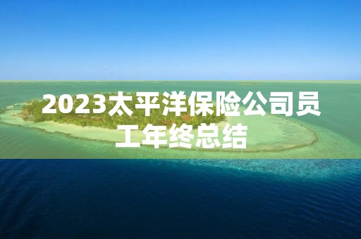 2023太平洋保险公司员工年终总结