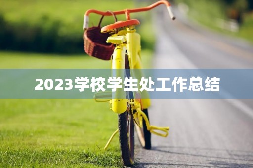 2023学校学生处工作总结