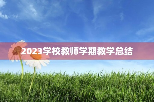 2023学校教师学期教学总结