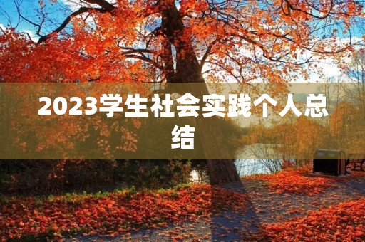 2023学生社会实践个人总结