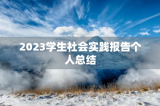 2023学生社会实践报告个人总结