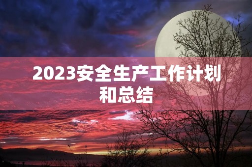 2023安全生产工作计划和总结