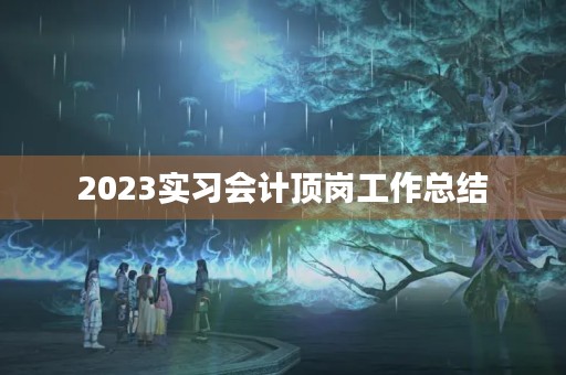 2023实习会计顶岗工作总结