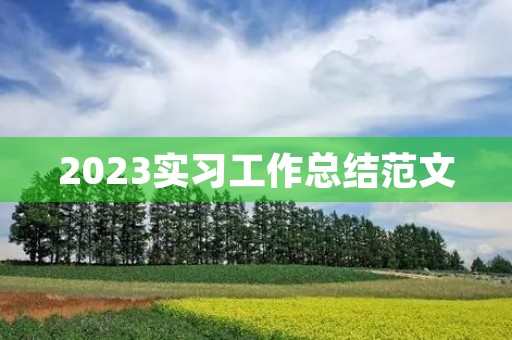 2023实习工作总结范文