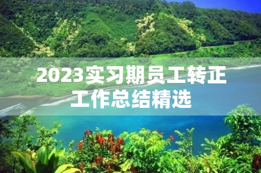 2023实习期员工转正工作总结精选(10篇)