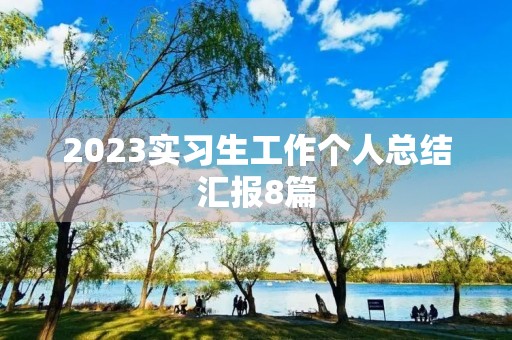 2023实习生工作个人总结汇报8篇