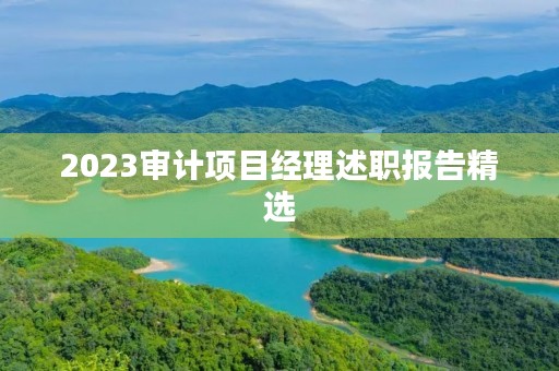 2023审计项目经理述职报告精选（10篇）