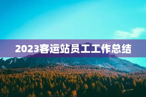 2023客运站员工工作总结