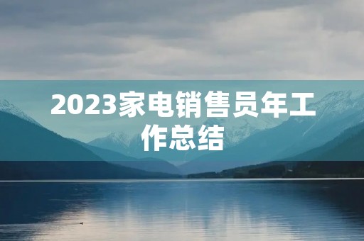 2023家电销售员年工作总结