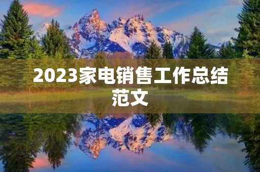 2023家电销售工作总结范文