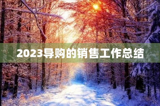 2023导购的销售工作总结