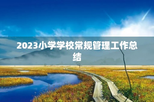 2023小学学校常规管理工作总结