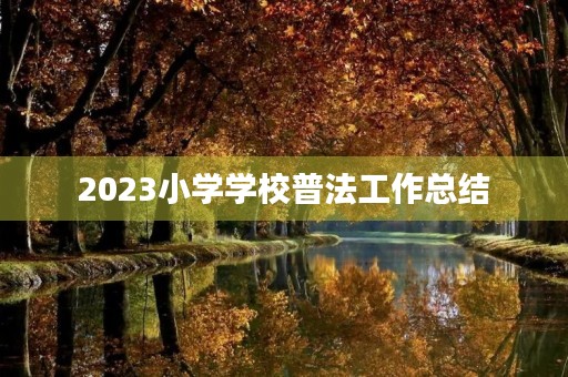 2023小学学校普法工作总结