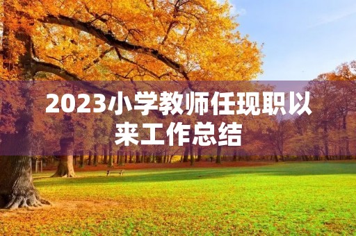 2023小学教师任现职以来工作总结
