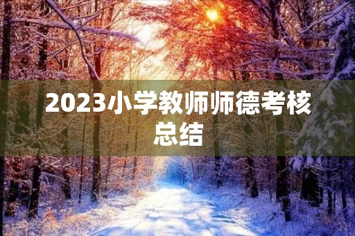 2023小学教师师德考核总结