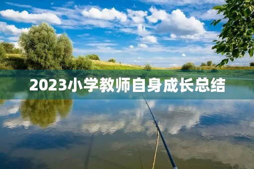 2023小学教师自身成长总结 2023小学教师自身成长总结