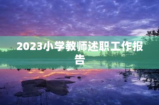 2023小学教师述职工作报告