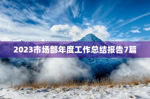 2023市场部年度工作总结报告7篇