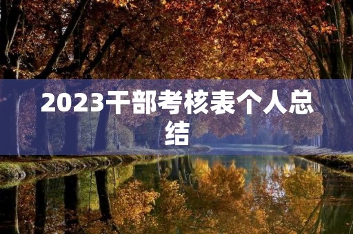 2023干部考核表个人总结