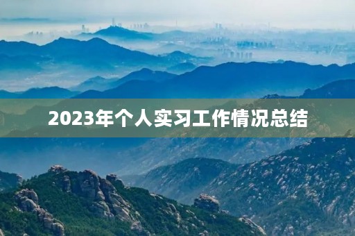 2023年个人实习工作情况总结