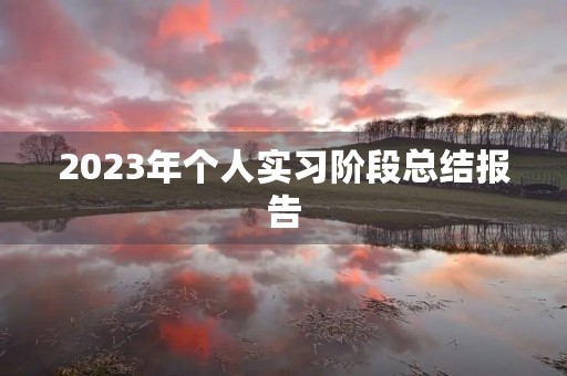 2023年个人实习阶段总结报告