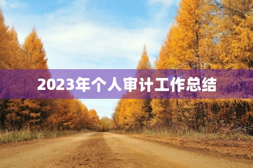 2023年个人审计工作总结