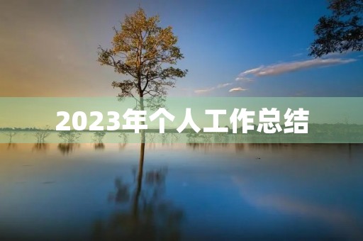 2023年个人工作总结