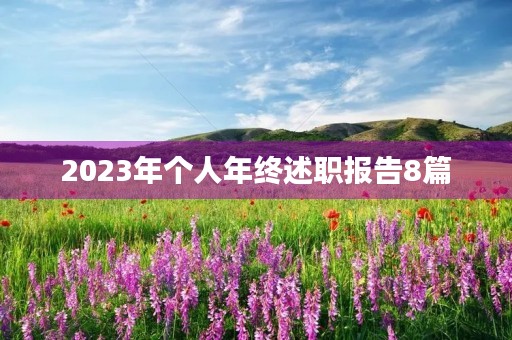 2023年个人年终述职报告8篇