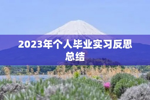2023年个人毕业实习反思总结