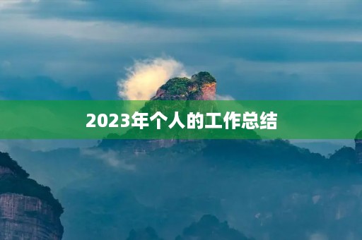 2023年个人的工作总结(7篇)
