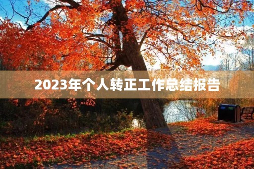 2023年个人转正工作总结报告