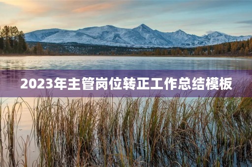 2023年主管岗位转正工作总结模板
