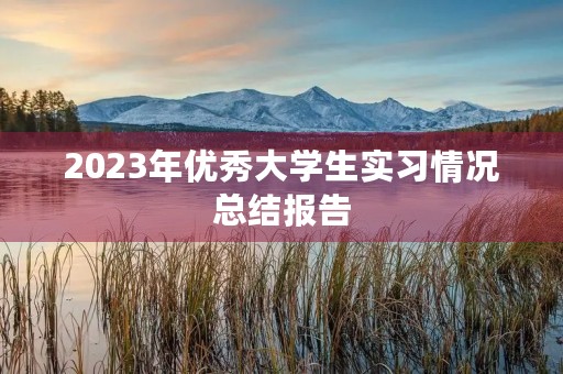 2023年优秀大学生实习情况总结报告