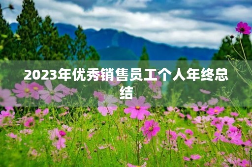 2023年优秀销售员工个人年终总结
