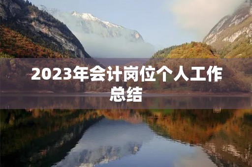 2023年会计岗位个人工作总结