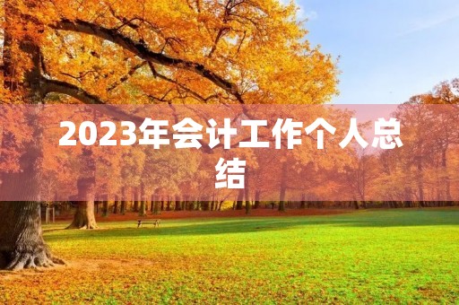 2023年会计工作个人总结