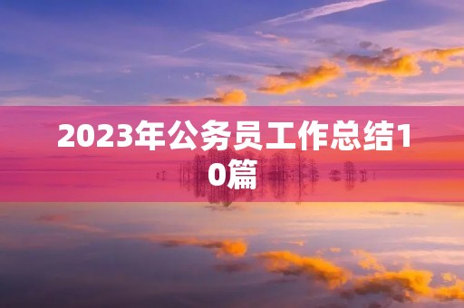 2023年公务员工作总结10篇