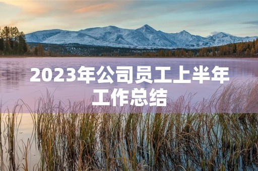 2023年公司员工上半年工作总结