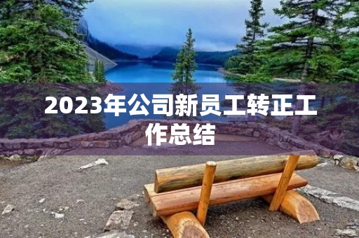 2023年公司新员工转正工作总结