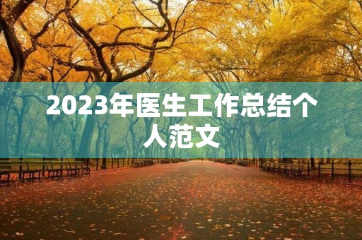 2023年医生工作总结个人范文