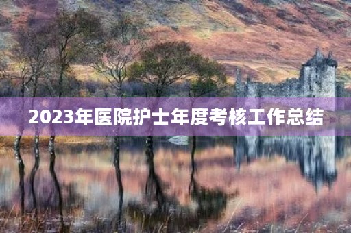 2023年医院护士年度考核工作总结
