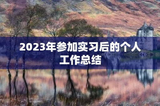 2023年参加实习后的个人工作总结