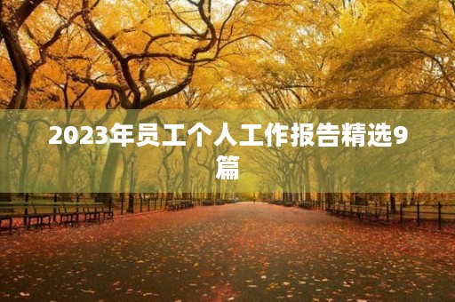 2023年员工个人工作报告精选9篇