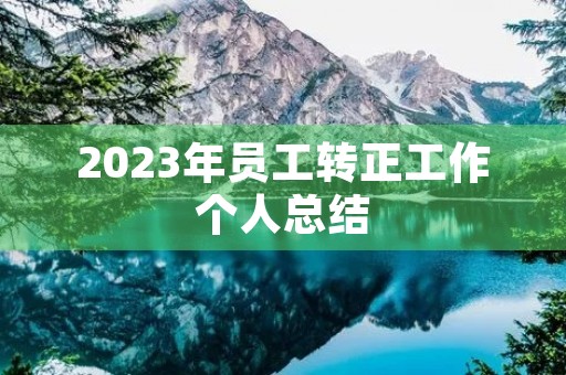 2023年员工转正工作个人总结